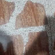 مهدی برقی