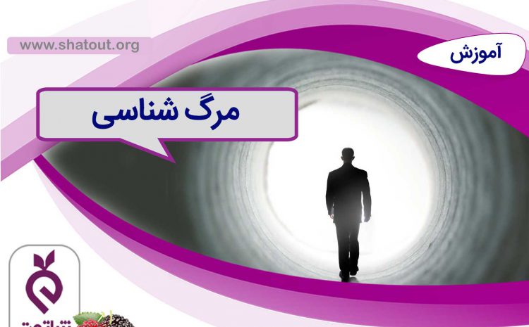 مرگ شناسی